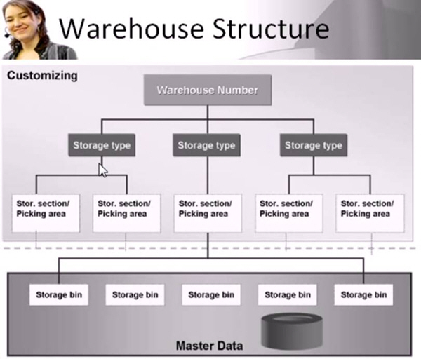 Warehouse Management Structure
