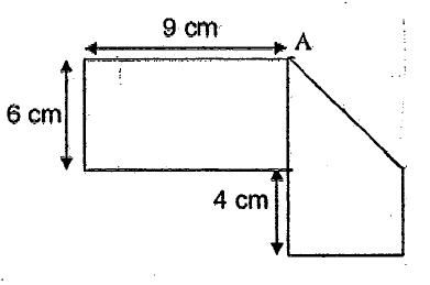 Rectangular piece of paper